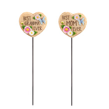 Load image into Gallery viewer, Mother's Day Plant Picks 2 Asst