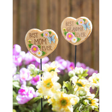 Load image into Gallery viewer, Mother's Day Plant Picks 2 Asst