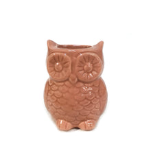 Load image into Gallery viewer, Stoneware Owl Vase with Magnet, 4 Asst
