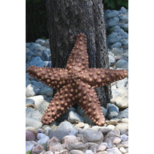 Load image into Gallery viewer, The Star of the Sea Starfish Statue
