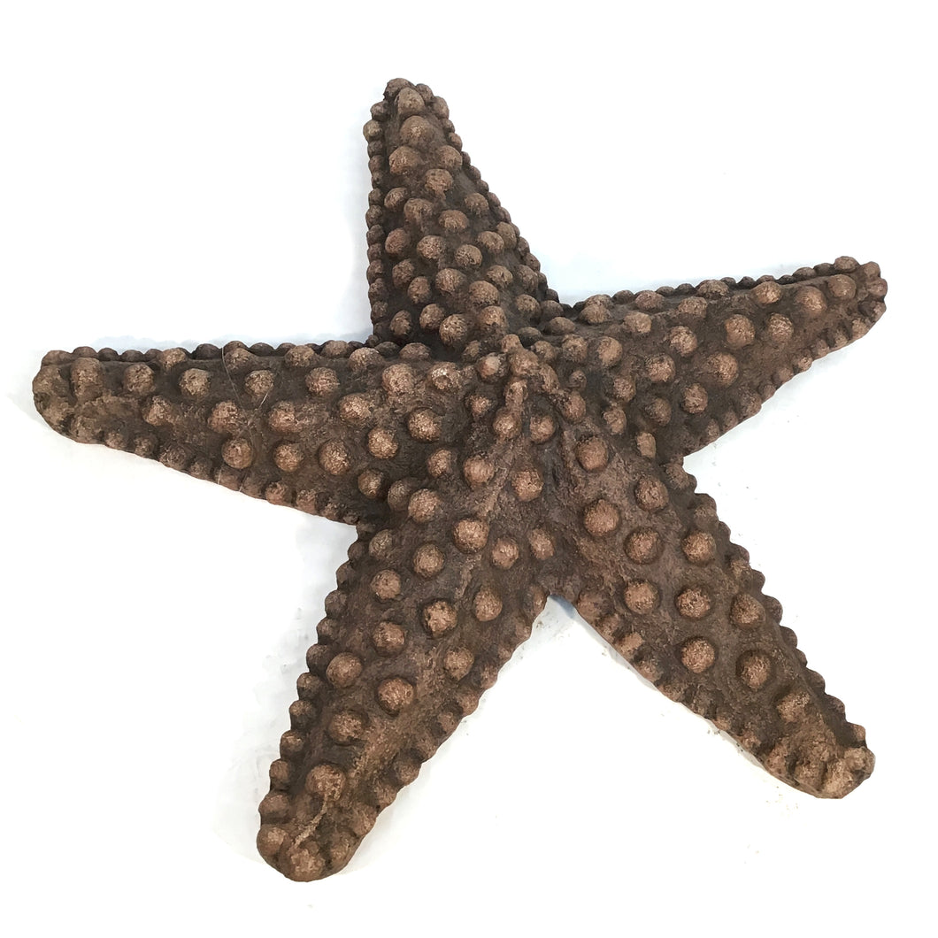 The Star of the Sea Starfish Statue