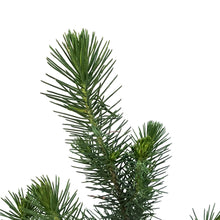 Load image into Gallery viewer, Pine, 4in, Stone