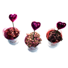 Load image into Gallery viewer, Fittonia Valentine's Planter, 4in, White Love Tin