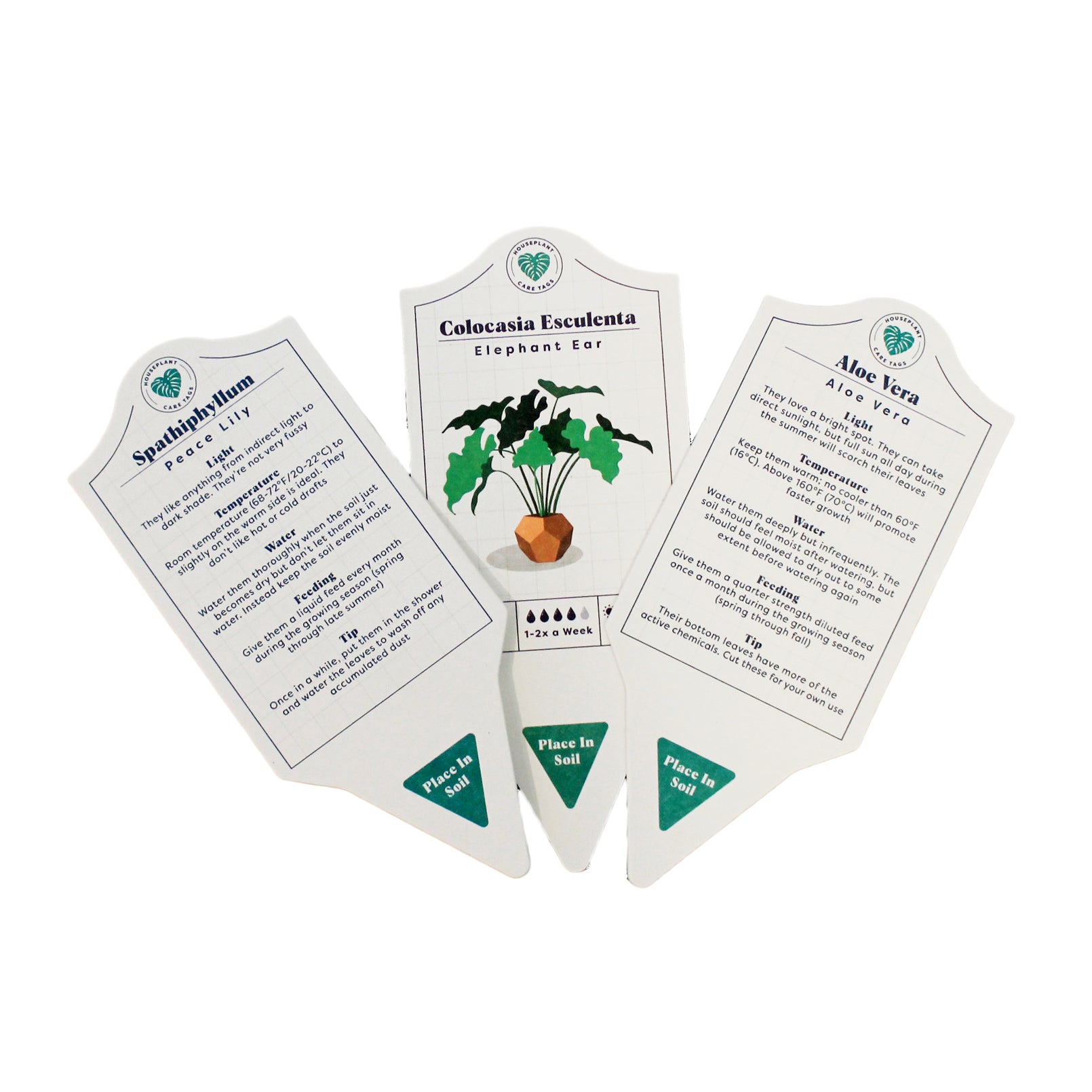 succulent care tag Houseplant Care Plant Tags – Floral Acres Greenhouse & Garden Centre