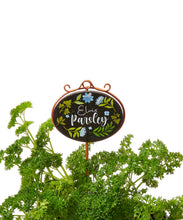 Load image into Gallery viewer, Metal Herb Plant Pick 6 Asst