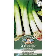 Load image into Gallery viewer, Leek - Large Musselburg Seeds, FG