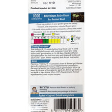 Load image into Gallery viewer, Antirrhinum, Rust Resistant Mixed, FG