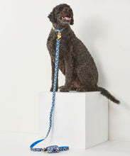 Load image into Gallery viewer, Reversible Pet Leash, 3 Asst