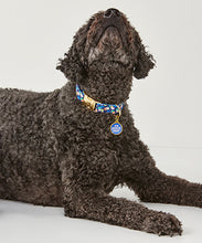 Load image into Gallery viewer, Pet Collar, 3 Asst