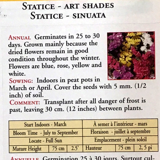 Statice Art Shades Seeds, OSC
