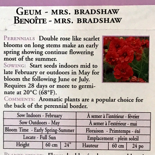 Geum Mrs. Bradshaw Seeds, OSC