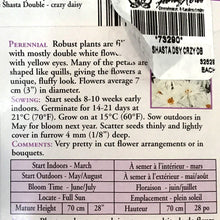 Load image into Gallery viewer, Shasta Daisy Crazy Daisy Double Seeds, OSC