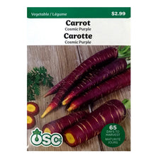 Load image into Gallery viewer, Carrot - Cosmic Purple Seeds, OSC