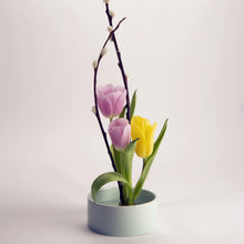 Load image into Gallery viewer, Mini Ikebana Kit