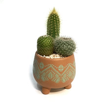 Load image into Gallery viewer, Cactus, 3in, Mayan Arrangement