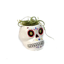Load image into Gallery viewer, Tillandsia with Sugar Skull