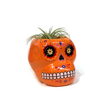 Load image into Gallery viewer, Tillandsia with Sugar Skull
