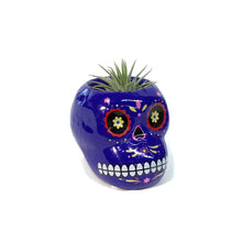 Load image into Gallery viewer, Tillandsia with Sugar Skull