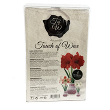 Load image into Gallery viewer, Amaryllis Bulb Kit, Waxed, White