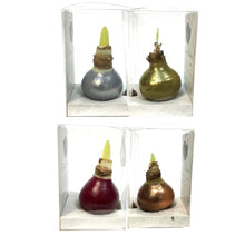 Load image into Gallery viewer, Amaryllis Bulb Kit, Waxed, White