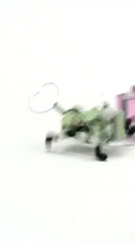 Load image into Gallery viewer, Pea Wind Up Toy