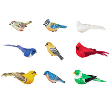 Load image into Gallery viewer, Song Bird Magnet, 9 Styles