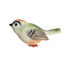 Load image into Gallery viewer, Song Bird Magnet, 9 Styles