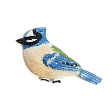 Load image into Gallery viewer, Song Bird Magnet, 9 Styles