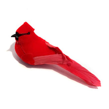 Load image into Gallery viewer, Song Bird Magnet, 9 Styles