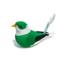 Load image into Gallery viewer, Song Bird Magnet, 9 Styles