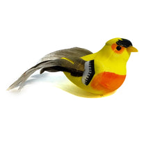 Load image into Gallery viewer, Song Bird Magnet, 9 Styles