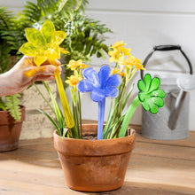 Load image into Gallery viewer, Glass Flower Plant Watering Channel, 3 Styles