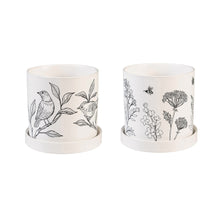 Load image into Gallery viewer, Pot, 4.25" Ceramic Cachepot With Dish