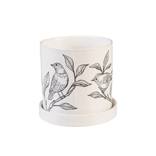 Load image into Gallery viewer, Pot, 4.25" Ceramic Cachepot With Dish