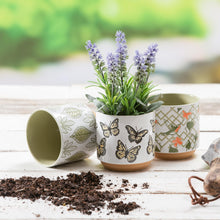 Load image into Gallery viewer, 4in, Ceramic Cache Pot, 3 Asst.