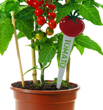 Load image into Gallery viewer, Veggie Plant Marker, 6 Asst
