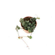 Load image into Gallery viewer, String of Hearts, 2.5in,