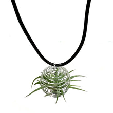 Load image into Gallery viewer, Tillandsia Tilly Necklace