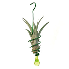 Load image into Gallery viewer, Tillandsia Deco Hanging Bead Wire