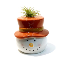 Load image into Gallery viewer, Tillandsia Winter Trio With Air Plant