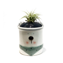Load image into Gallery viewer, Tillandsia Winter Wonderland With Air Plant