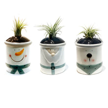 Load image into Gallery viewer, Tillandsia Winter Wonderland With Air Plant
