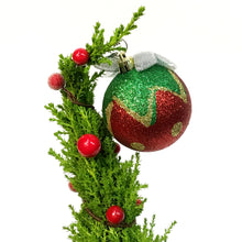 Load image into Gallery viewer, Cypress, 4in, Kranky Tree