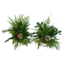 Load image into Gallery viewer, Christmas Planter, White Pot, Christmas Greeting