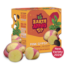Load image into Gallery viewer, Seed Potato - Pink Gypsy, Earth Apples, 1kg Box