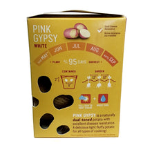 Load image into Gallery viewer, Seed Potato - Pink Gypsy, Earth Apples, 1kg Box