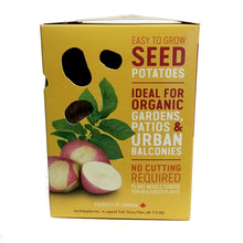 Load image into Gallery viewer, Seed Potato - Pink Gypsy, Earth Apples, 1kg Box