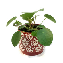 Load image into Gallery viewer, Pilea, 4in, Ceramic, Patterned Glazed