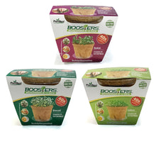 Load image into Gallery viewer, Microgreen Grow Kit, Booster