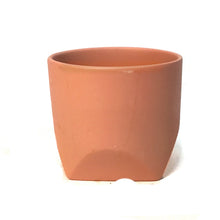 Load image into Gallery viewer, Pot, 3.5in, Gold Fleck 4 ASST